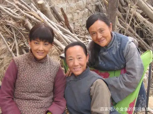 乡村电视剧推荐乡村回忆朴实且经典