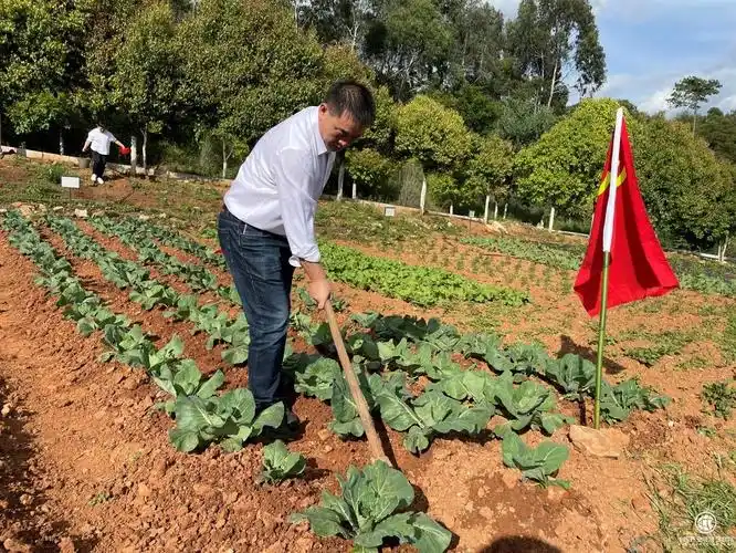 守望初心与使命传承南泥湾精神
