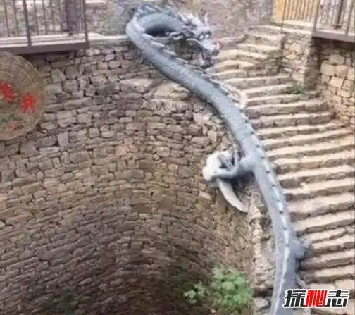 锁龙井的蛟被挖出来过锁龙井真实事件曝光震惊众人