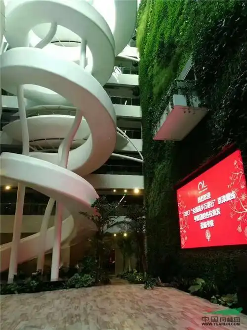 苗乡行第三日 在白洋淀各种泛舟 还拜了东方园林的码头