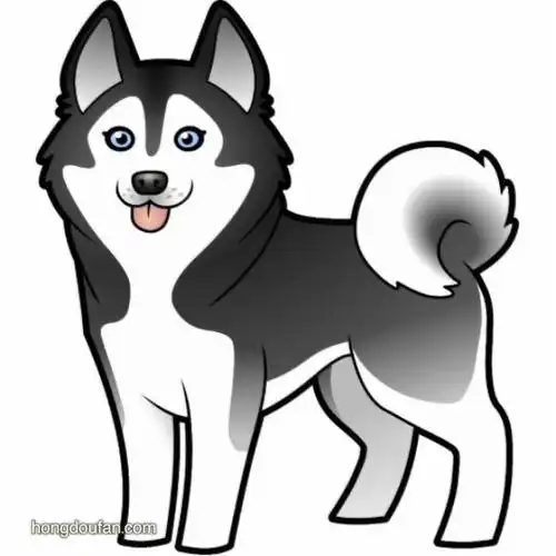 11只可爱的卡通小狗简笔画