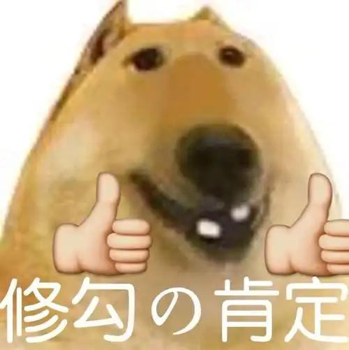 修勾肯定_肯定_修勾表情