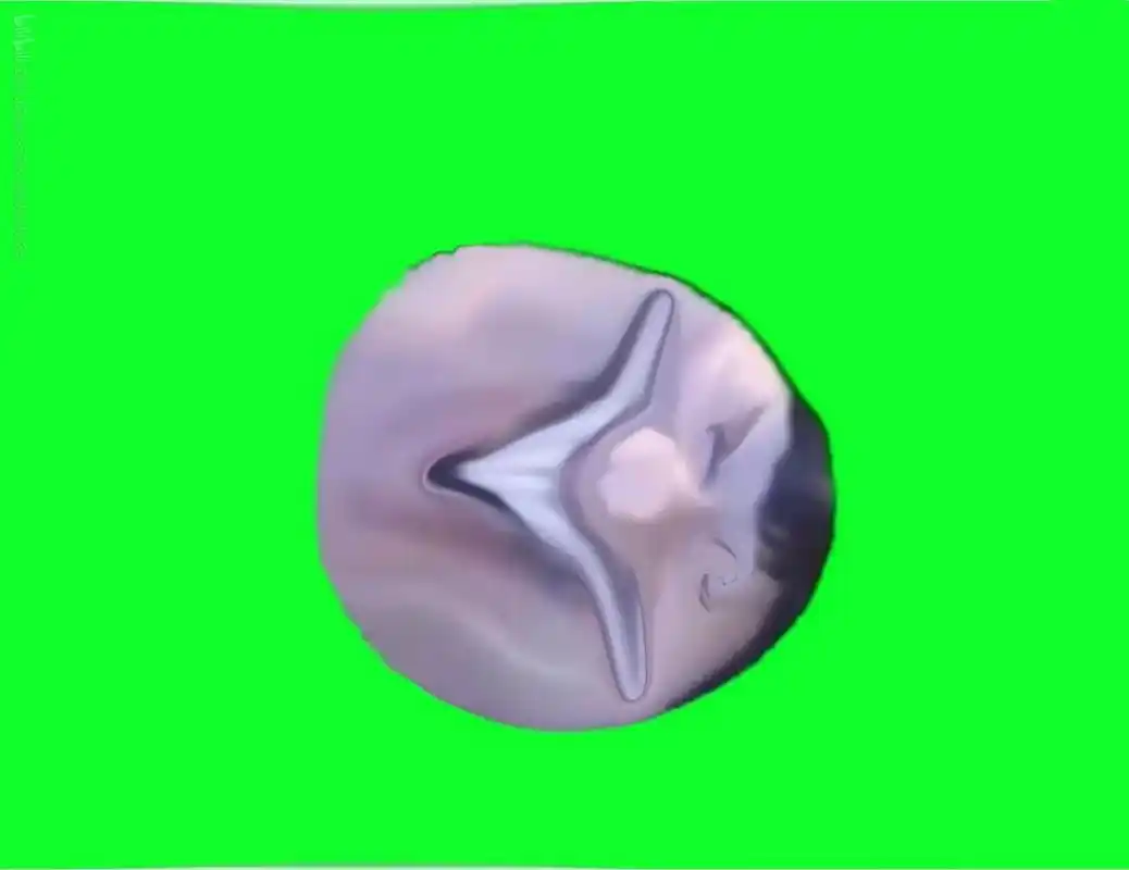 绿幕素材 #醒图 - 抖音