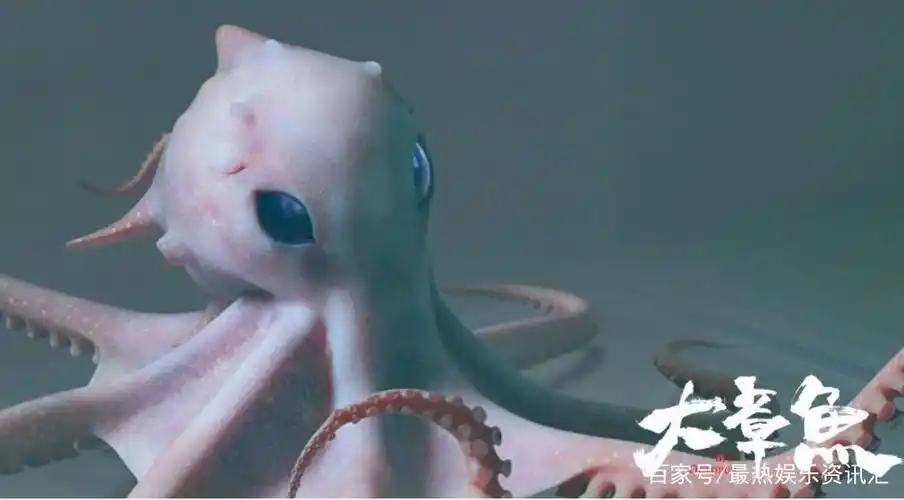 百度爱采购首页 商品专题_章鱼 优质回答 由项华祥执导,刘牧,赵茜