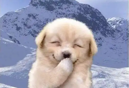 幽默段子笑晕人的故事给你专治不开心