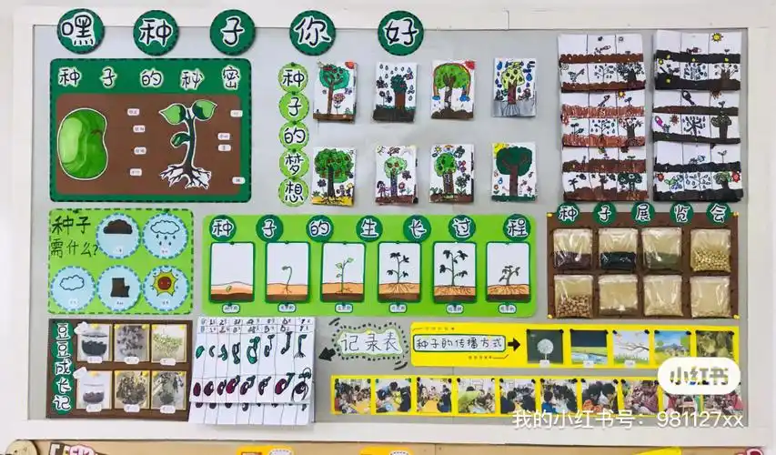 大班主题墙嘿种子你好