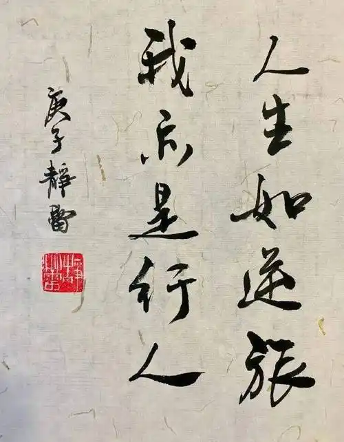 徐静蕾书法欣赏_笔墨_传统_特点