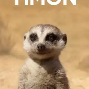 七大王国的干脆面君