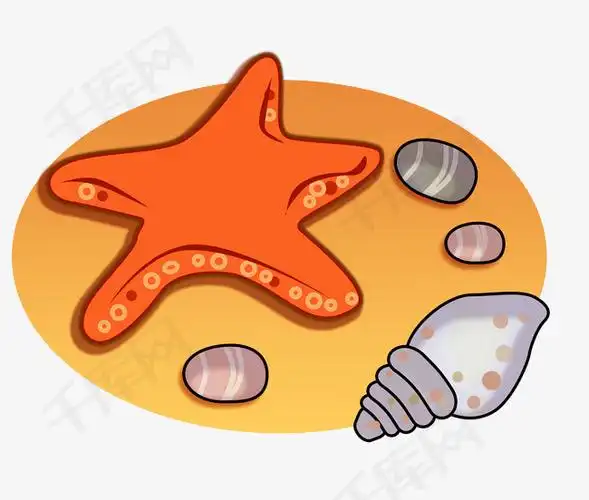 卡通贝壳png素材