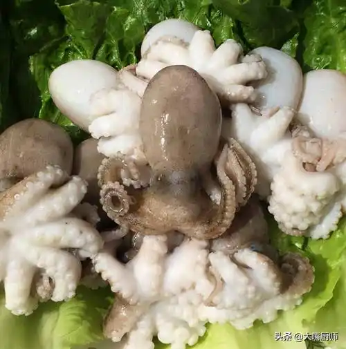 八爪鱼怎么处理八爪鱼用不用去除内脏