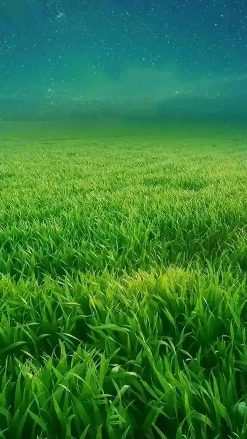 绿色对眼睛有好处,并不是指绿色本身对眼睛有什么好处,而是说远眺大