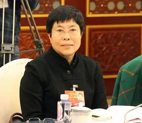 全国人大代表陈舒:网约车是大数据发展的生动体现