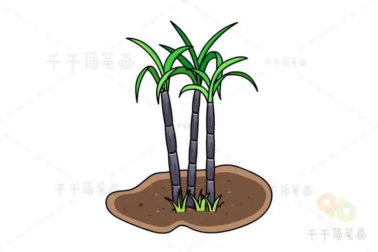 甘蔗简笔画