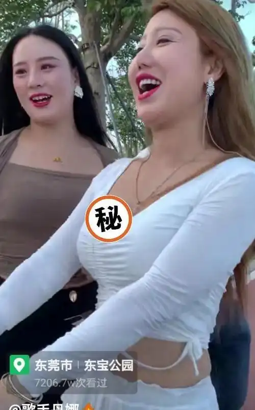 歌手丹娜的个人资料 网红丹娜的个人资料 - 歌词译