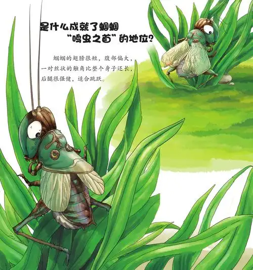 儿童绘本故事推荐《昆虫世界乐开怀中》