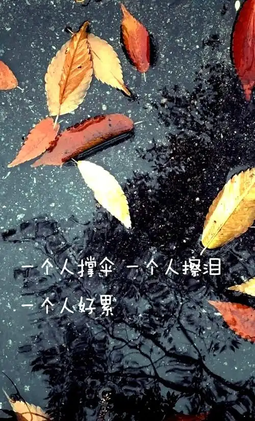 一个人发呆,一个人无助,一个人彷徨,一个人泪流,整个人与世界格格不入