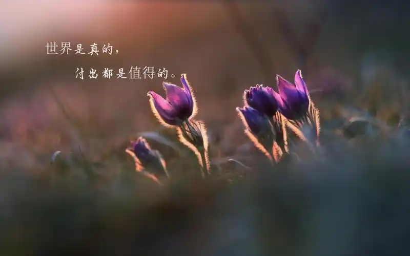 经典励志说说致自己带字配图,高清壁纸图片,非主流-回车桌面