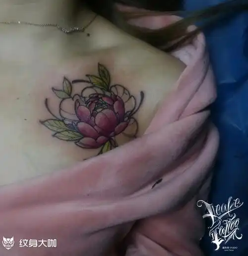 牡丹_纹身图案手稿图片_ _shark的纹身作品集