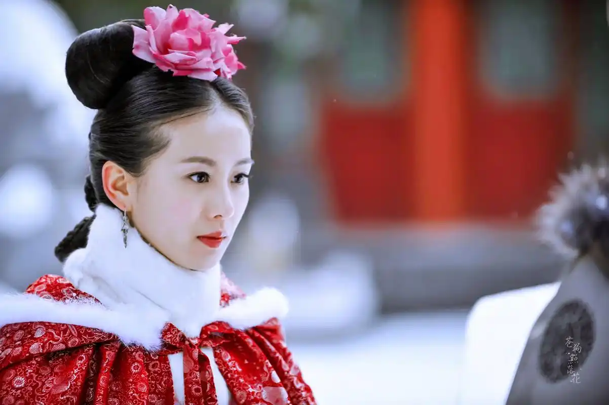 【刘诗诗】【美图】| 步步惊心