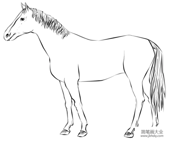 动物简笔画马马的简笔画怎么画非马儿童简笔画怎么画白龙马的简笔画简