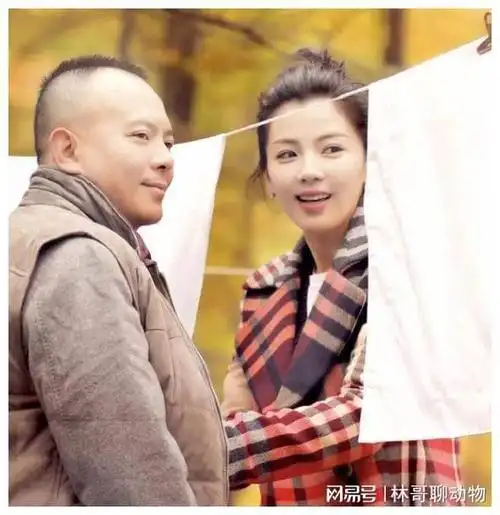 曾经不可一世京城四少隐退破产离婚如今都怎样了