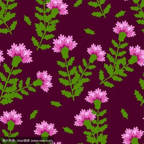 violet carnations with dark green leaves on a dark violet back