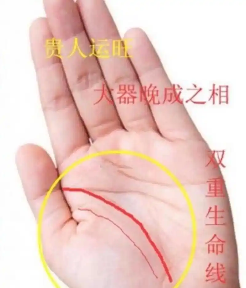 以下手相贵纹,占的越多,贵人越多,成功有望!  1,有双重生 - 抖音