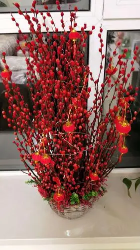 转运花,愿全家人运气越来越好!