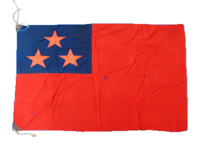 台湾民众党党旗