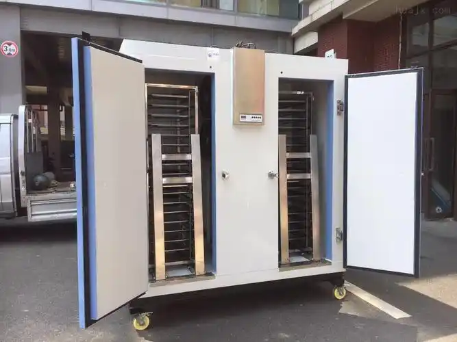 dw水饺面食速冻柜低温速冻设备低温冷冻柜