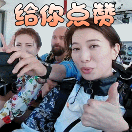 妻子的浪漫旅行袁咏仪给你点赞gif动图_动态图_表情包下载_soogif