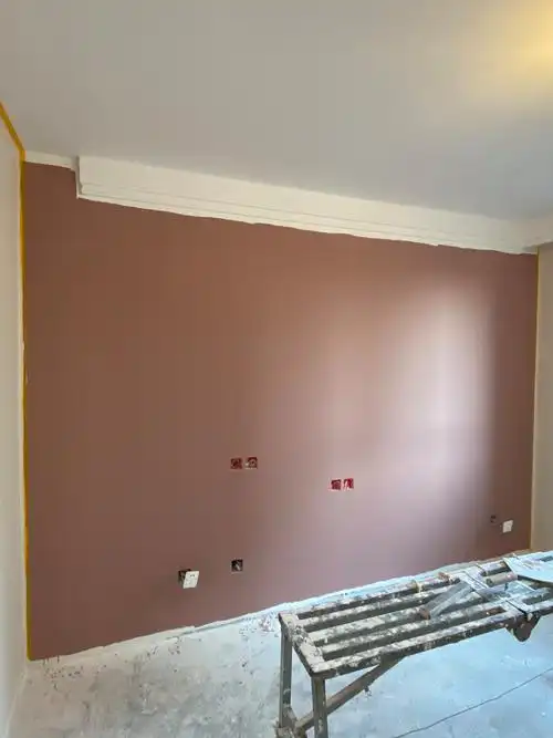 立邦褐珊瑚背景墙颜色太美了