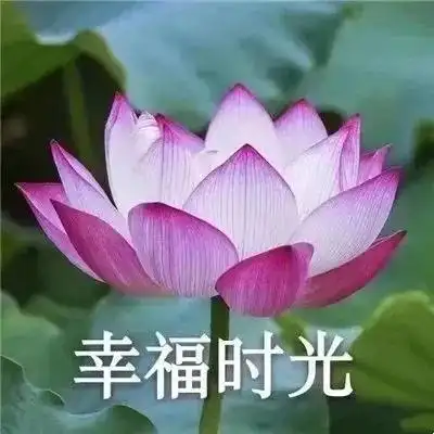 平平淡淡才是真