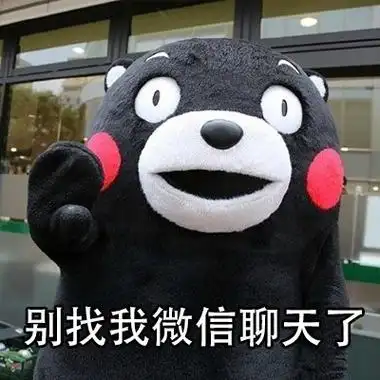 别找我微信聊天了 - 别找我聊天了,多幼稚你知道吗_熊本熊表情