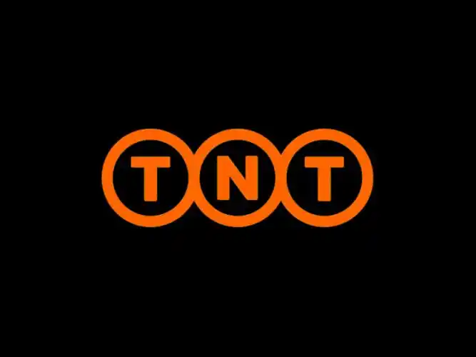 tnt国际快递logo设计