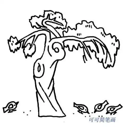 树的种类名称及柏树简笔画