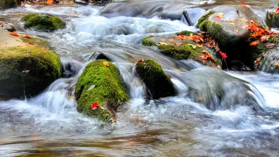 又是一年红叶时--本溪红叶季