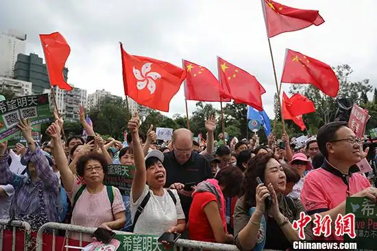 "请停止一切暴力"——九万港人集会侧记-中新网