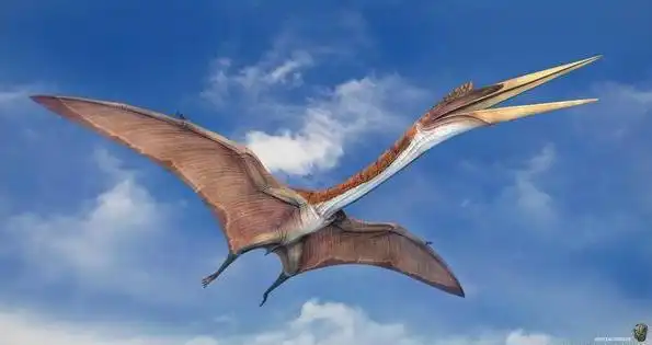 风神翼龙:天空之神