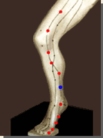 该穴处于足少阴肾经,足厥阴肝经和足太阴脾经三条经络的交点,故名为"