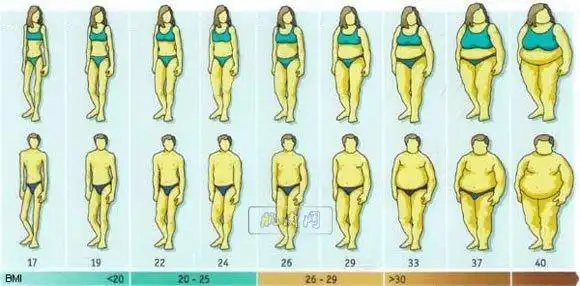 怎么目测体脂率和简单测量体脂率