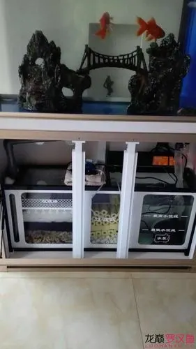新手求教,看看我这滤材摆放顺序可以吗? - 鱼缸器材 - 龙巅罗汉鱼