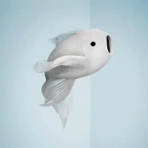 眼前一亮这些创意拼接照片实在太有趣了