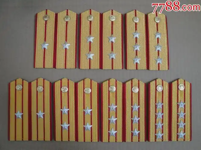 87式陆*肩章,7副一套.