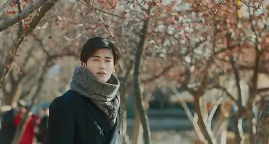 两束光937385的剧照