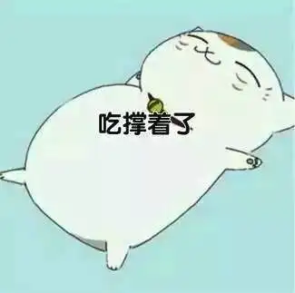 不住自己的食欲  恨不得自己能有两张嘴  经常吃到揉着肚子