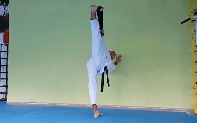 欧洲跆拳道冠军丨踢腿训练方法教学_哔哩哔哩_bilibili