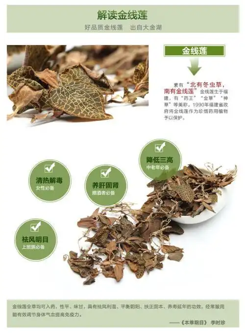 金线莲新闻(金线莲的用途与功效)_金线莲品种_南靖福草堂金线莲网