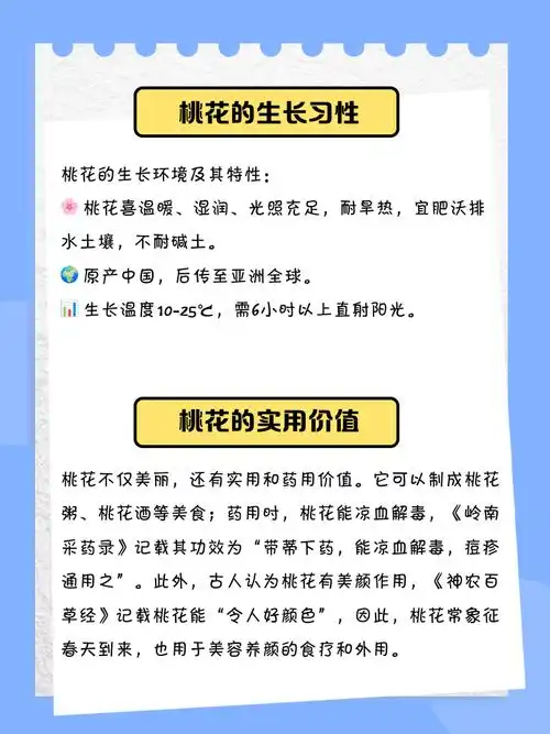 桃花特征与特点概述