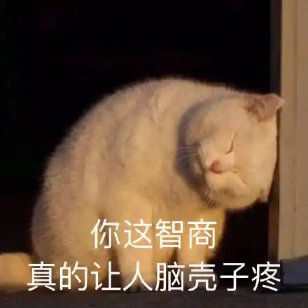 你这智商真的让人脑壳子疼(猫咪表情包)_猫咪_脑壳子_智商_真的表情